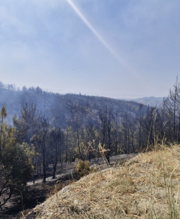 43236e3e-cf05-4e7e-9a1e-763a943e1a60