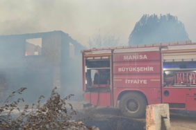 WhatsApp Image 2024-08-16 at 12.28.30