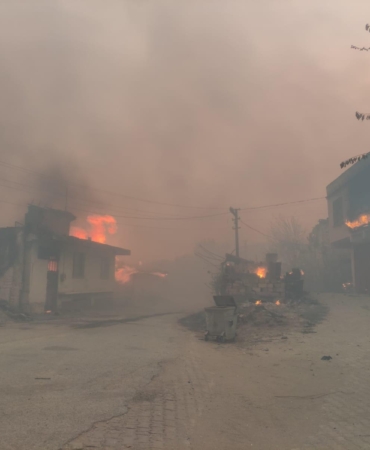 WhatsApp Image 2024-08-19 at 11.19.34