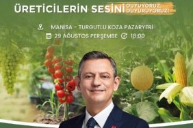 WhatsApp Image 2024-08-27 at 13.21.03