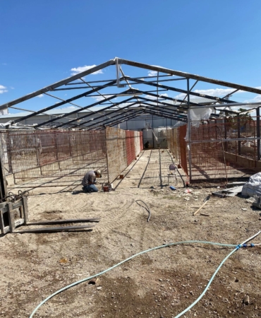 d01066a3-1289-4a02-b6a9-891ea3691a65