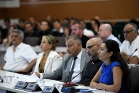 meclis agustos ikinci birlesim (2)