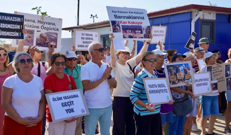 yerinde yaşat 4