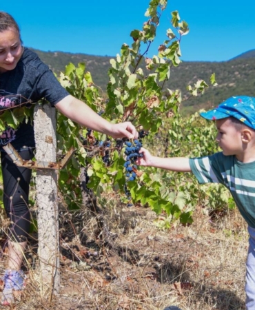 Adsız tasarım (13)