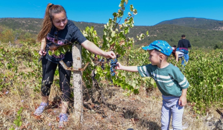 Adsız tasarım (13)