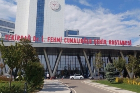 Ekran görüntüsü 2024-09-12 154800