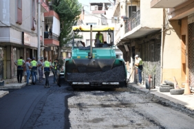ziya pasa (6)