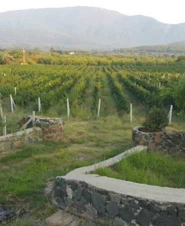 Adsız tasarım (27)