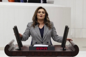 WhatsApp Image 2024-10-09 at 19.39.09