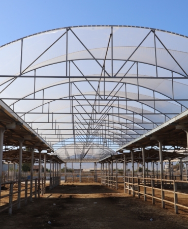 WhatsApp Image 2024-10-22 at 10.33.54 (1)