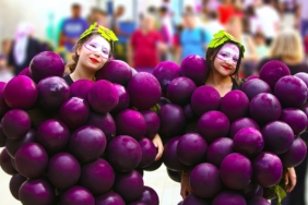 festival şehre geldi 7
