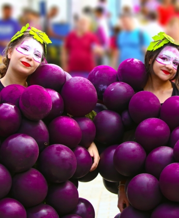 festival şehre geldi 7