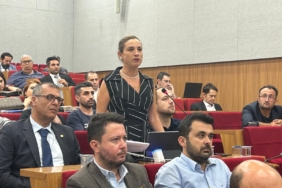 filiz ceritoğlu sengel