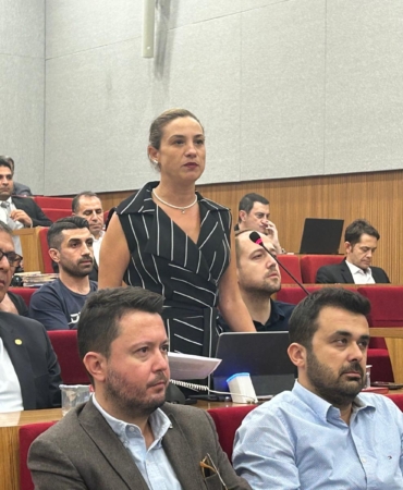 filiz ceritoğlu sengel