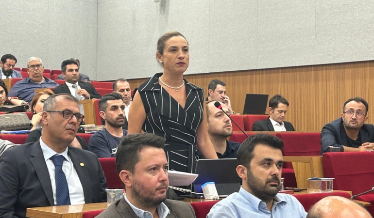 filiz ceritoğlu sengel