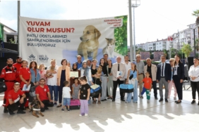 karabağlar belediyesi yuvam olur musun 2 (5)