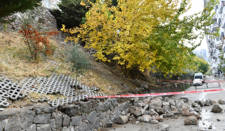 19738ca3-74a6-4955-b64f-8608b3cfa97c