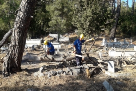 Muğla Büyükşehir Belediyesi Mezarlıkları Temizliyor, Odunlar İhtiyaç Sahiplerine Yakacak Oluyor (3)