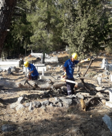 Muğla Büyükşehir Belediyesi Mezarlıkları Temizliyor, Odunlar İhtiyaç Sahiplerine Yakacak Oluyor (3)
