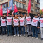 WhatsApp Image 2024-11-20 at 15.27.15