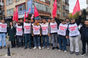 WhatsApp Image 2024-11-20 at 15.27.15