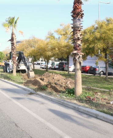 2e721ea4-691b-40a1-b930-e005b2c67876