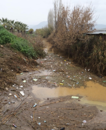 471600293_995460249293122_5553987160114732781_n