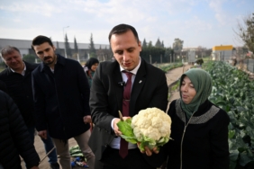 Kent Bostanında hasat (1)