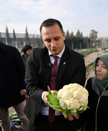 Kent Bostanında hasat (1)