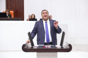 WhatsApp Image 2024-12-21 at 09.53.46