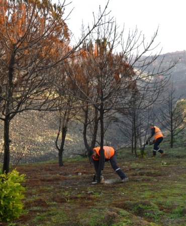 ddc76ae0-8903-4699-8198-b01959aa8ec3