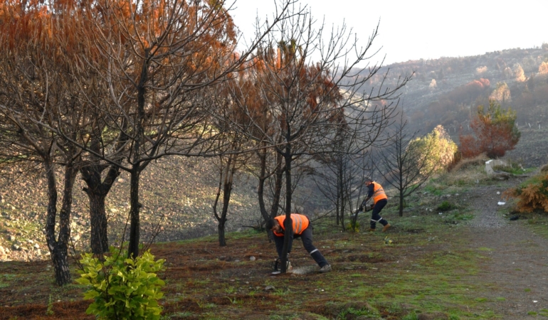 ddc76ae0-8903-4699-8198-b01959aa8ec3