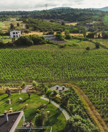 15.01.2025_370b0e58-ef5a-4003-8617-48f62078398d