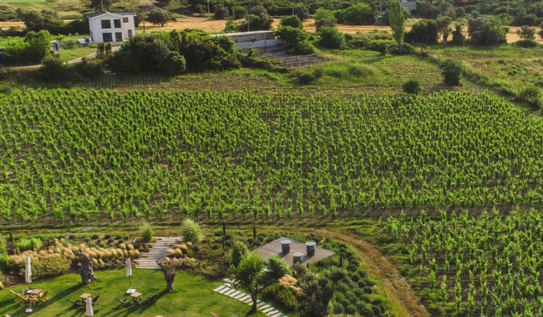 15.01.2025_370b0e58-ef5a-4003-8617-48f62078398d