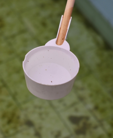 Çeşme’de Sivrisinek ile yoğun mücadele