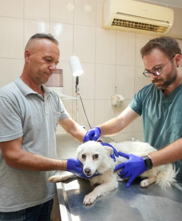 Gaziemir Belediyesi’nden 6 bin 222 can dosta şefkat eli (1)