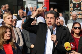 IMG_20250115_161033_629