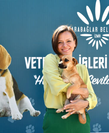 Karabağlar Belediyesi veteriner işleri çalışma (2)