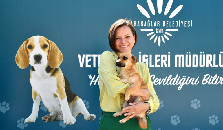 Karabağlar Belediyesi veteriner işleri çalışma (2)