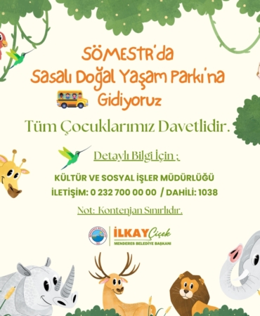 WhatsApp Image 2025-01-15 at 17.20.19