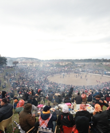 deve güreşi arşiv (1)