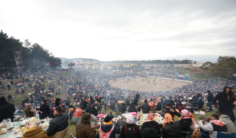 deve güreşi arşiv (1)