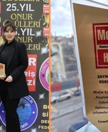 revize alev ildeniz ödül
