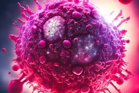 58e88522-929a-4f73-a482-b14ba7e1c080