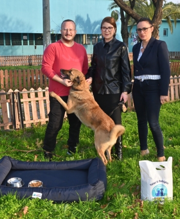 Büyükşehir’den hayvan sahiplenmeye teşvik kampanyası (5)