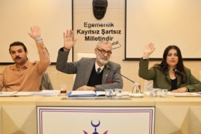 DEM Parti'den kayyum açıklaması (11)
