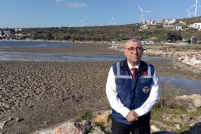 WhatsApp Image 2025-02-12 at 11.00.27