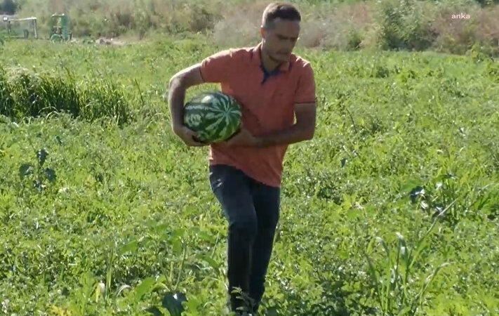 çiftçi