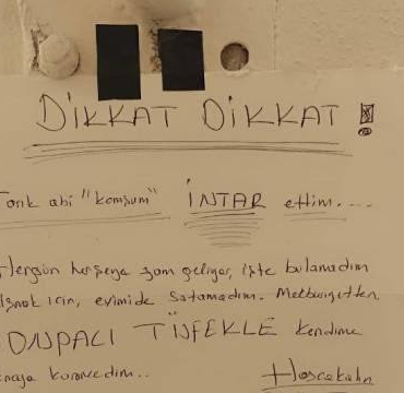 photo_5893432722481858936_x