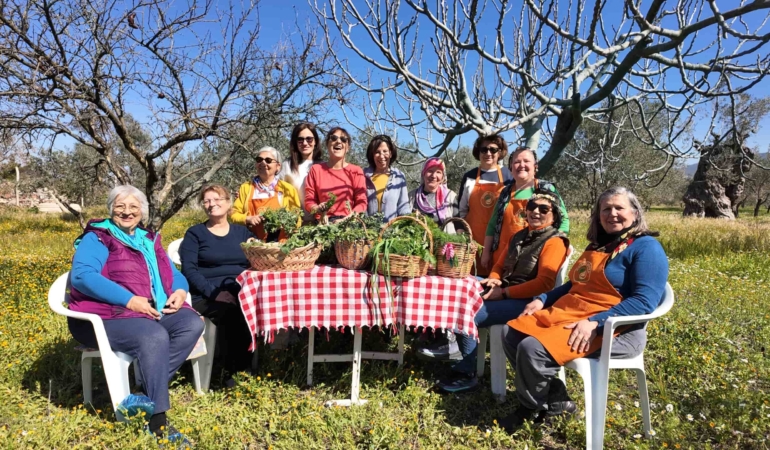 DOĞAL SORA URLA OT TOPLAMA ETKİNLİĞİ FOTOĞRAFI